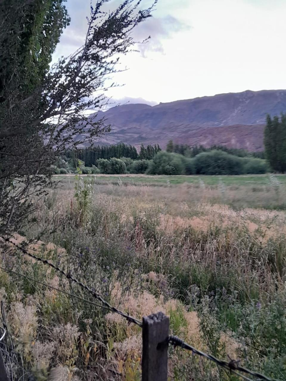 Calafates Y Lavandas Chile Chico Εξωτερικό φωτογραφία