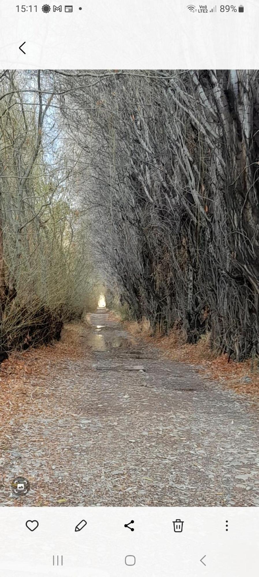 Calafates Y Lavandas Chile Chico Εξωτερικό φωτογραφία
